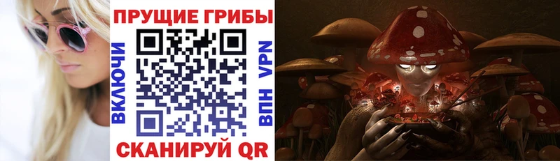 Галлюциногенные грибы MAGIC MUSHROOMS  как найти закладки  Кириллов 