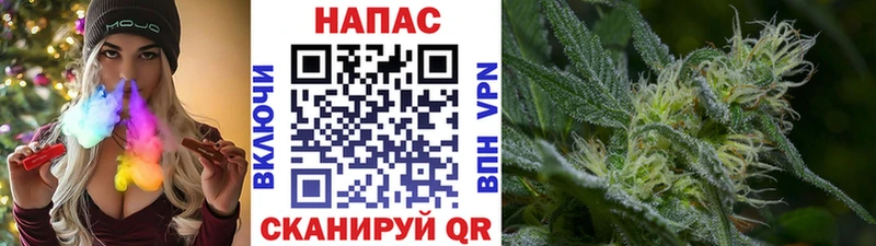 Конопля конопля  ОМГ ОМГ tor  Кириллов 